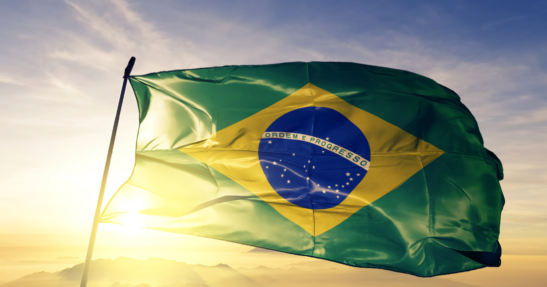 25 Fun Facts About Brazil for Kids